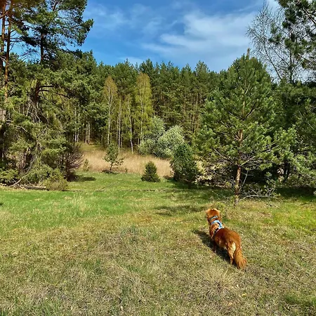 Дом отдыха Nad Jeziorem *